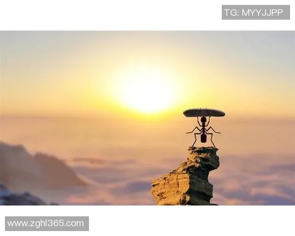 足球九号的传奇之路与背后故事揭示了运动员的奋斗与梦想 足球九号的传奇之路与背后故事揭示了运动员的奋斗与梦想